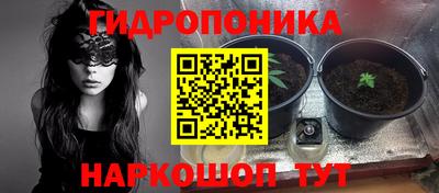 стаф Апшеронск