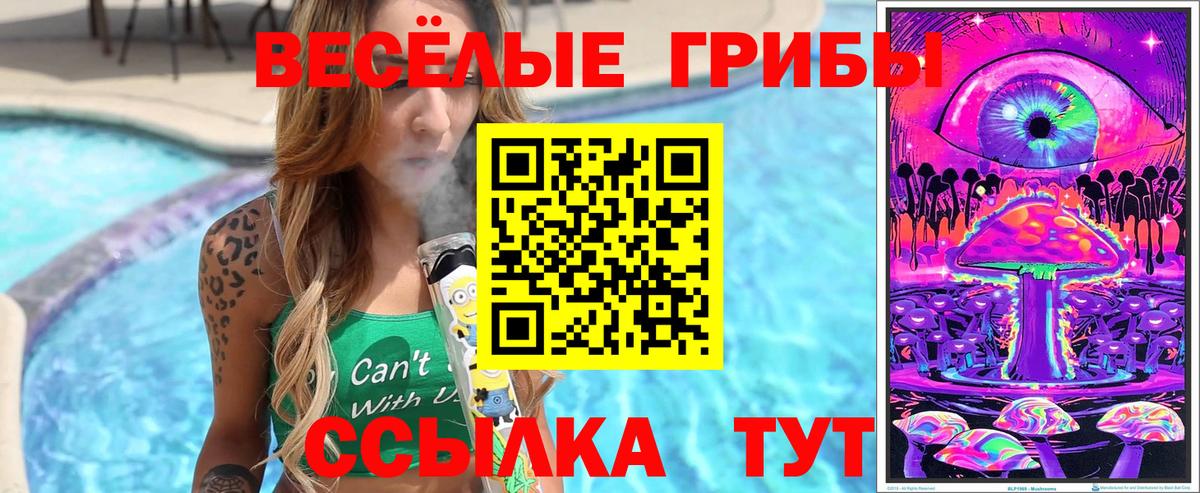 Галлюциногенные грибы Psilocybe  Апшеронск 