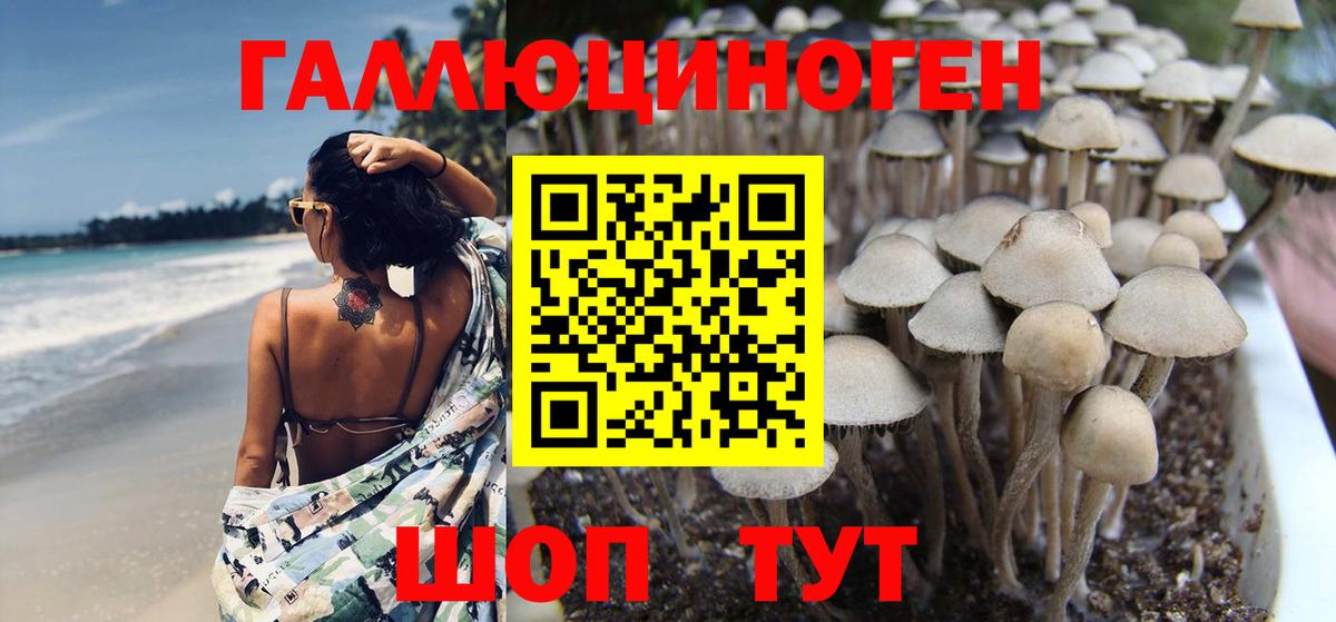 Апшеронск  Галлюциногенные грибы Magic Shrooms  Вход с VPN 