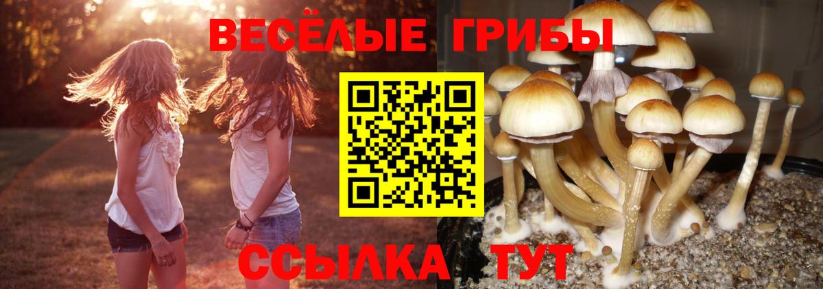 Галлюциногенные грибы Magic Shrooms Апшеронск